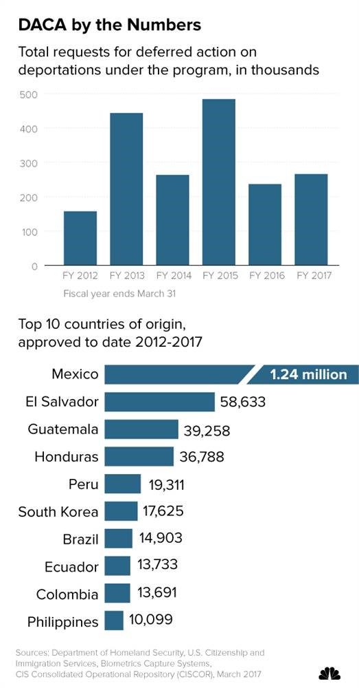 DACA NUMBERS