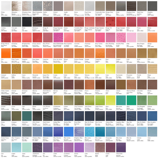 HERMES` INSPIRING VIBRANT CHOICES AND COMBINATIONS COLOR CHART
